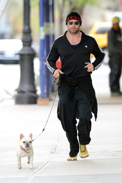 ヒュー・ジャックマンと愛犬ピーチズ -(C) INFPhoto／Aflo