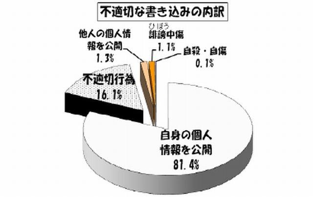 不適切な書込みの内訳