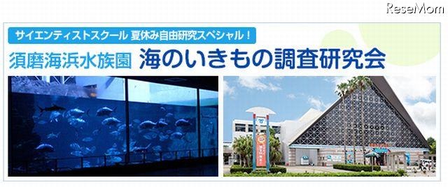 須磨海浜水族園・海のいきもの調査研究会