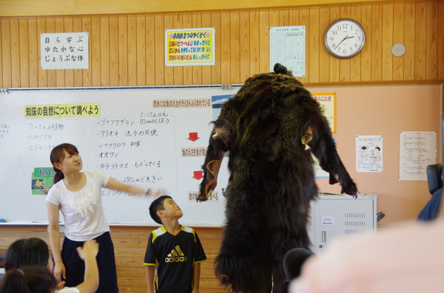本物の熊の毛皮を使い、教室内でリアルな自然を感じる機会を生徒に与える