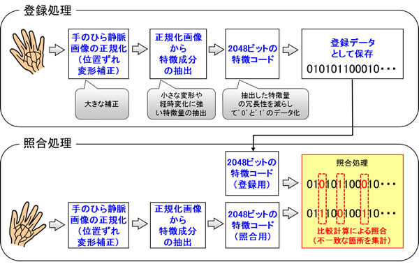 開発した特徴コードによる手のひら静脈認証技術の概要