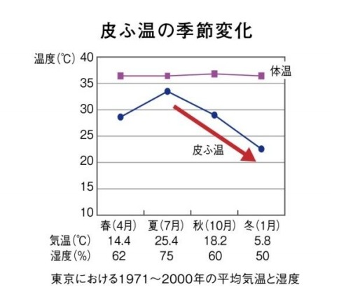 皮ふ温の季節変化