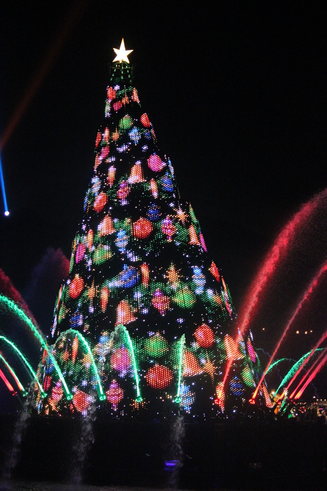 夜のメディテレーニアンハーバーに浮かび上がる巨大クリスマスツリー