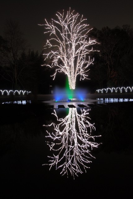 京都府立植物園、夜間開室とイルミネーション開催