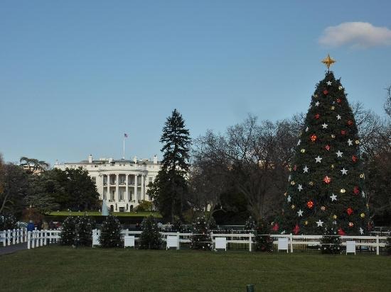 ホワイトハウスのツリー