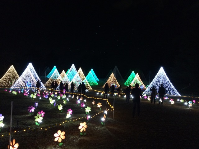 立川の国営昭和記念公園