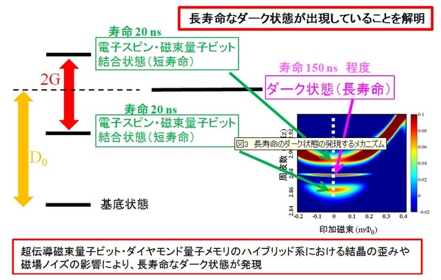 長寿命のダーク状態の発現するメカニズム 