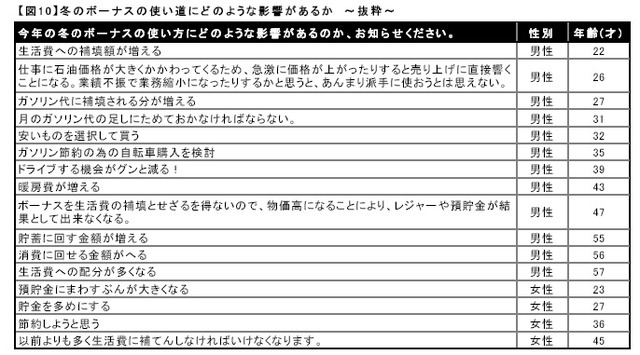 冬のボーナスの使い道にどのような影響があるか　〜抜粋〜