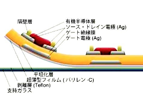 トランジスタの断面構造の模式（パリレン-C：厚さ～1ミクロン）