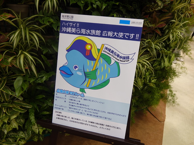 【ツーリズムEXPOジャパン】にぎわう沖縄ブース！泡盛の女王や「美ら海水族館」