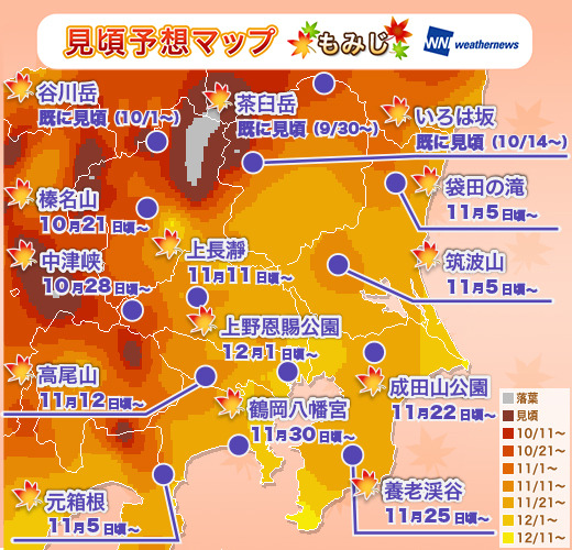 関東地方見頃マップ：もみじ