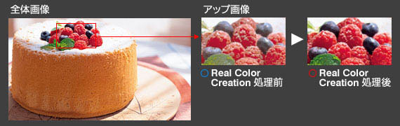 「Real Color Creation」の効果イメージ