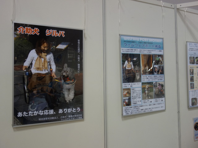 Pet博2015 in 横浜