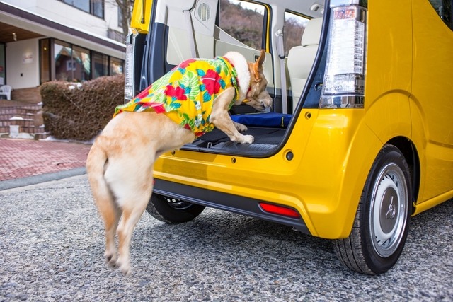 荷室は地上57cmで犬の乗降も楽々