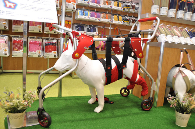 老犬介護用歩行器の試作品も展示