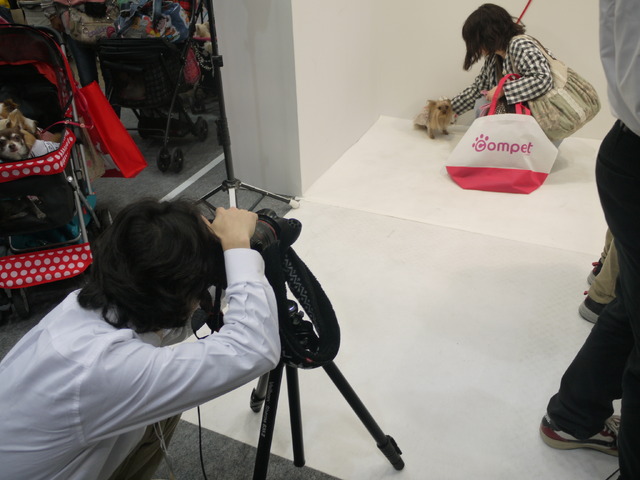 愛犬の目線をもらうのはひと苦労（Honda）