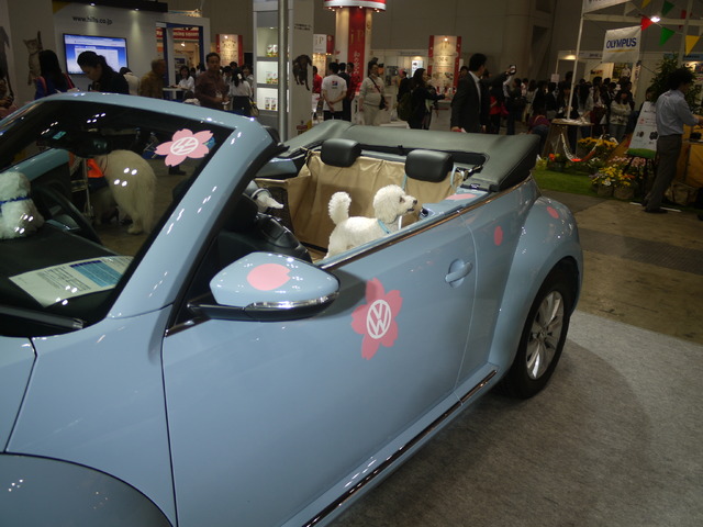 デコレーションされた「The Beetle Cabriolet」で（フォルクスワーゲン）