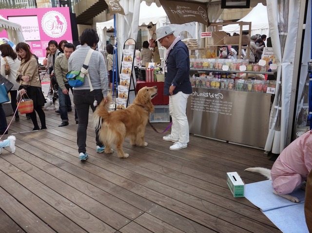 「エレdogショー」会場