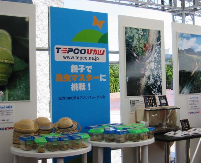 ファーブル博士になろう！　クワガタがもらえるTEPCOひかりの夏休み体験イベント