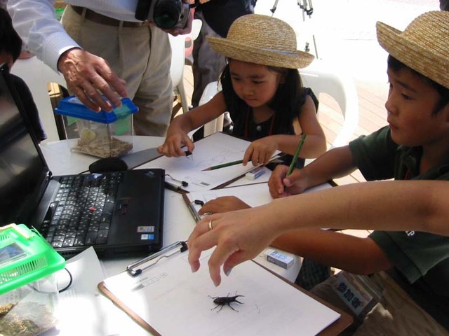 ファーブル博士になろう！　クワガタがもらえるTEPCOひかりの夏休み体験イベント