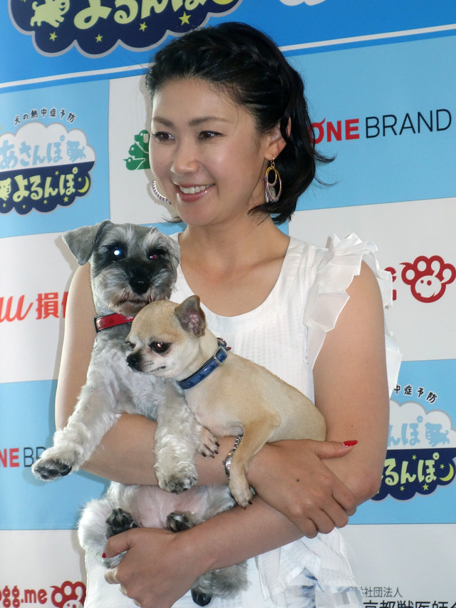 ONE BRAND、犬の熱中症予防キャンペーンを開始