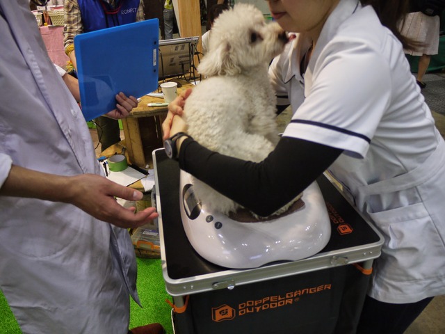 Interpetsの体験検査にて（イメージ）