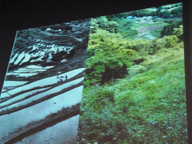 かつての上山の風景（写真左）と、荒れた上山の風景（写真右）。同じ場所からの撮影。美しい棚田の姿がなくなっていることがわかる