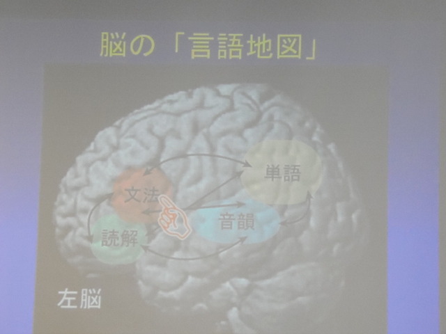 人間の左脳には言語地図があり、文法・単語・音韻・読解など複数の領域に分かれているという