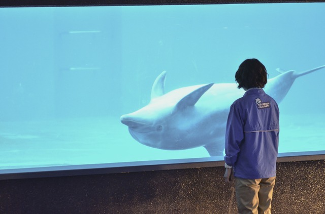 NHK「水族館ガール」　＜写真提供　NHK＞