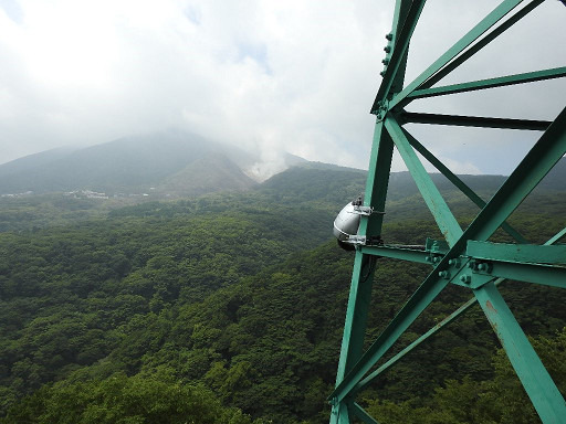 ライブカメラの設置場所から見える風景。送電用鉄塔（高さ約29m）の地上16m付近に、高い望遠機能を備えたライブカメラを設置した（画像はプレスリリースより）