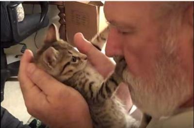 【動画】飼い主さんのキスにキレた子猫