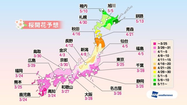 来週末、福岡・高知で桜開花か