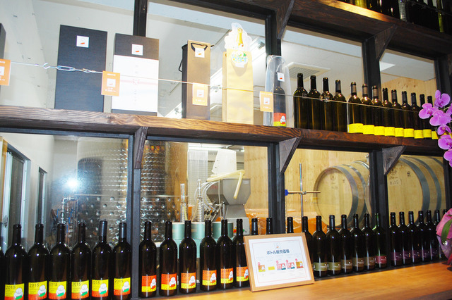 醸造したてのワインが試飲できる販売店からは、醸造所が窓越しに見える