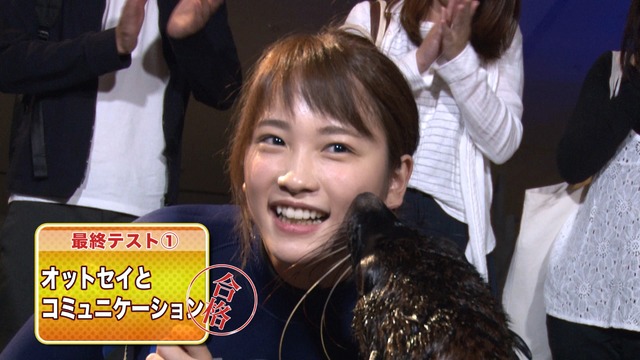 川栄李奈、水族館飼育員に挑戦！一人前の飼育員として認められるのか？
