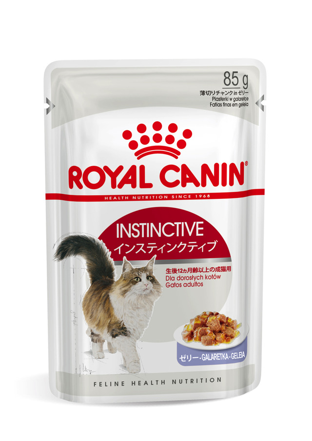 ロイヤルカナン、猫用ウェットフード全4製品を新発売