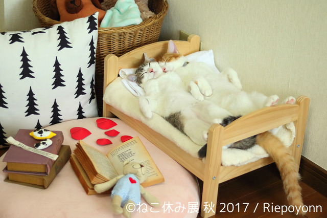 「ねこ休み展 秋 2017」の開催が決定！新作も多数展示