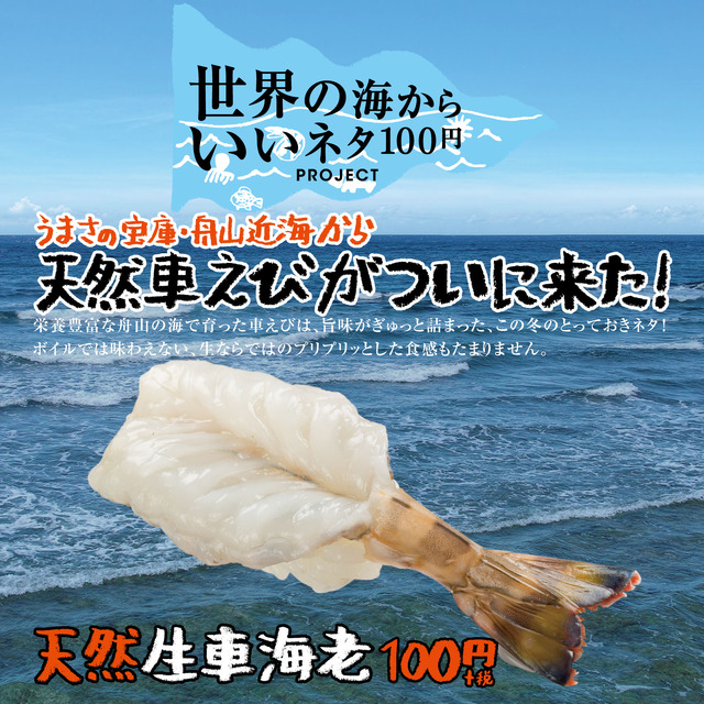 スシロー、「天然生車海老」を本日から100円で販売