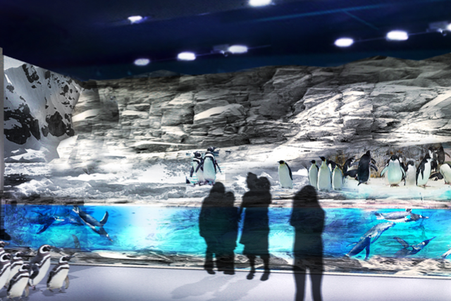 「DMM.com」が水族館オープン！リアルと最新映像技術をミックス