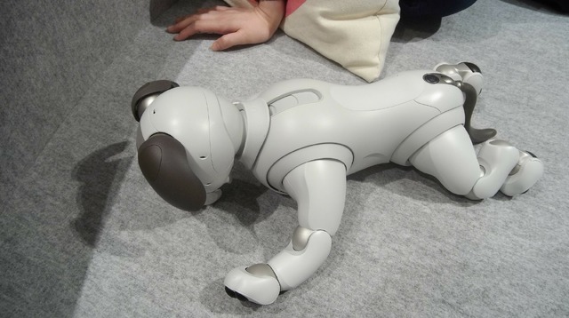 「ロボットペットはアリなのか？」たしかに犬っぽいAIBOに感心