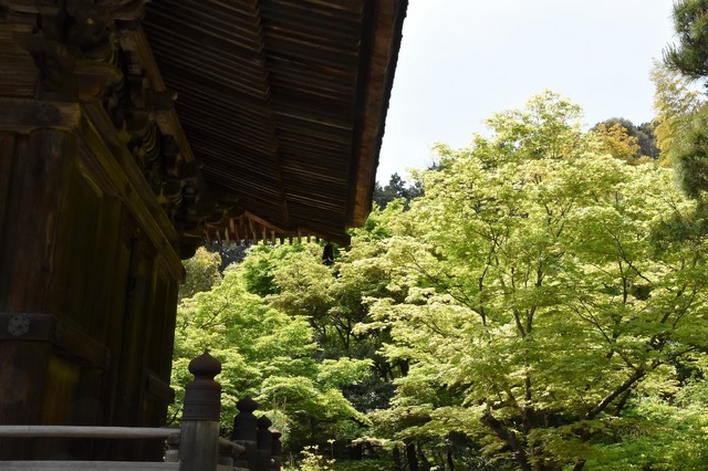 歌人が歌に詠んだ小倉山の自然を感じることができる