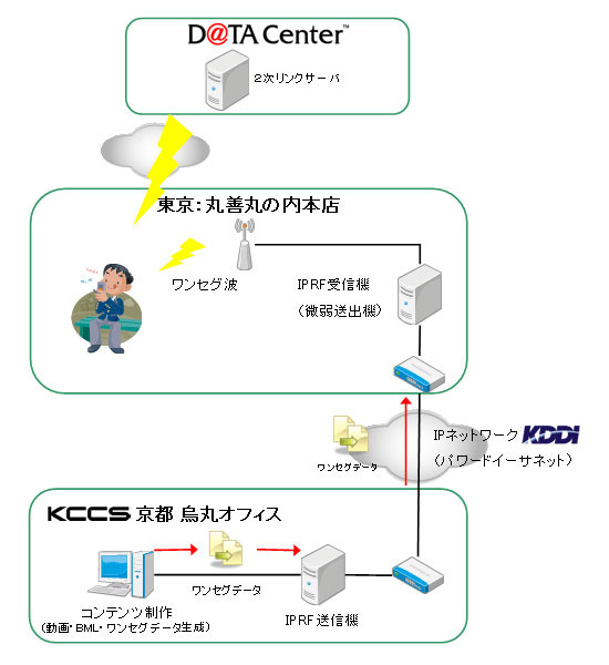 実験概要