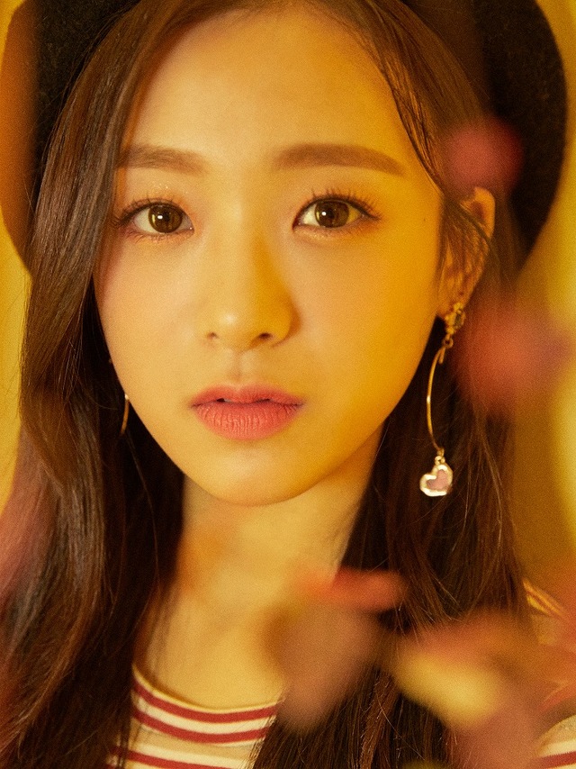 韓国の清純派ガールズグループ「April」が2019年1月に単独公演