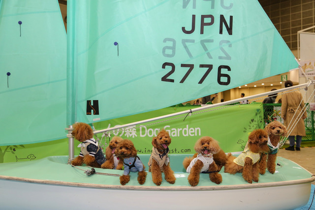 人気のペットイベント「インターペット」が大阪で初開催決定