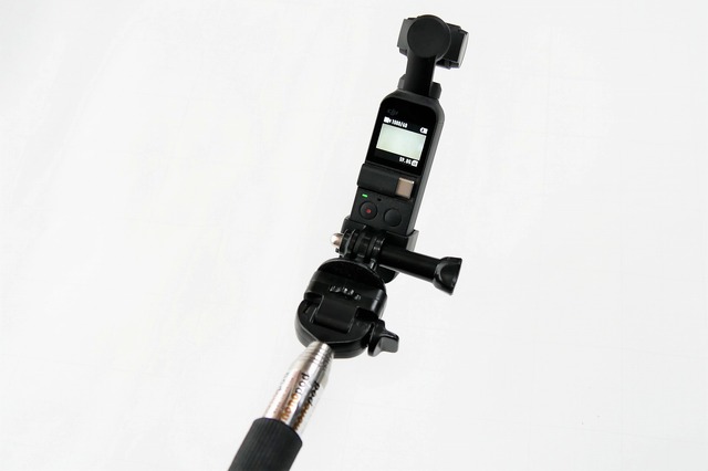 【ワンコとお出かけ　Vol.31】スタビライザー付き小型カメラ「DJI Osmo Pocket」はワンコ撮影に向いている？