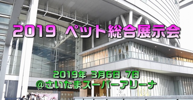 【ワンコとお出かけ　Vol.33】「2019 ペット総合展示会」参加レポート