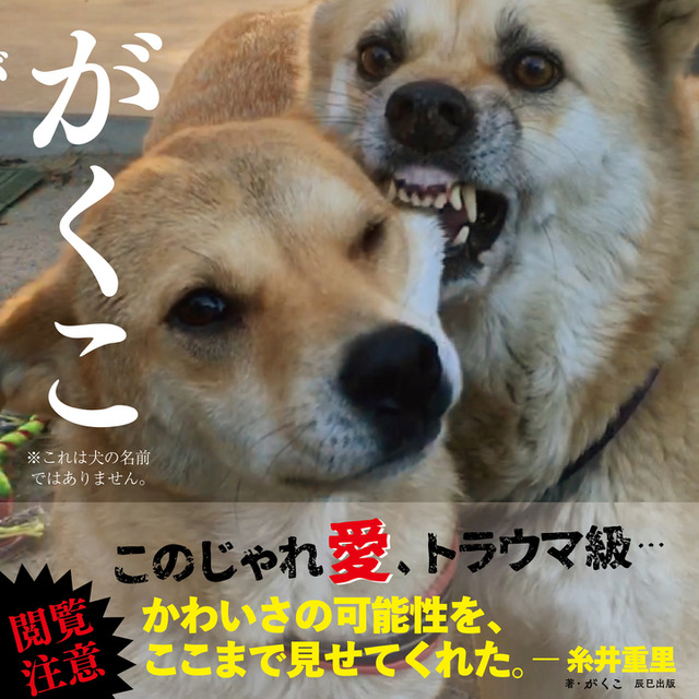 雑種犬二匹の「じゃれ愛」を集めた写真集『がくこ』が発売