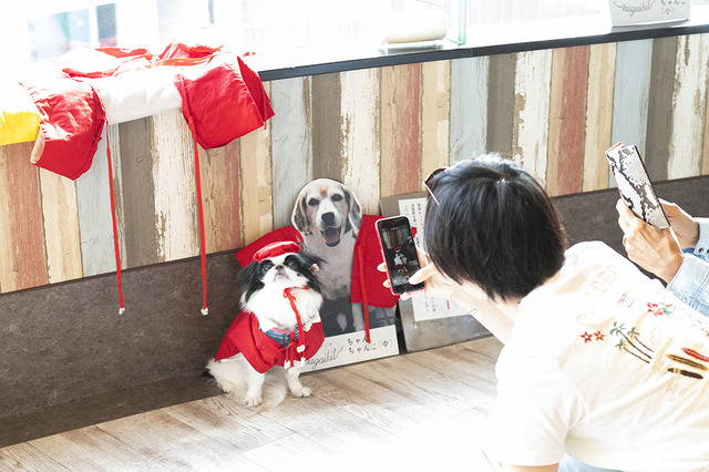 老犬専門誌『ぐらんわん！』が体験型ドッグケアカフェオープン