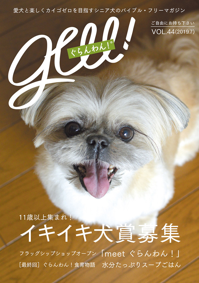 老犬専門誌『ぐらんわん！』が体験型ドッグケアカフェオープン