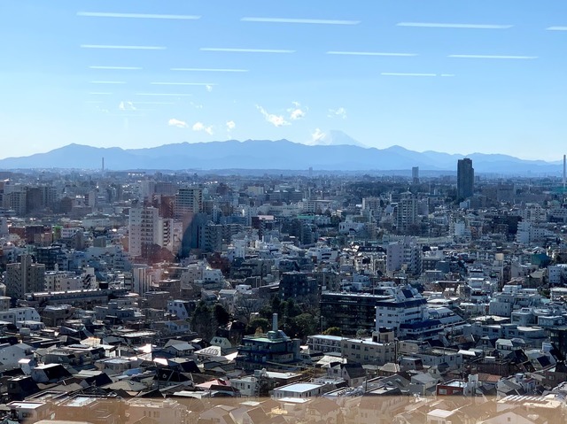 窓からの眺めのよさも新オフィスの魅力。天気がよければ富士山も見える