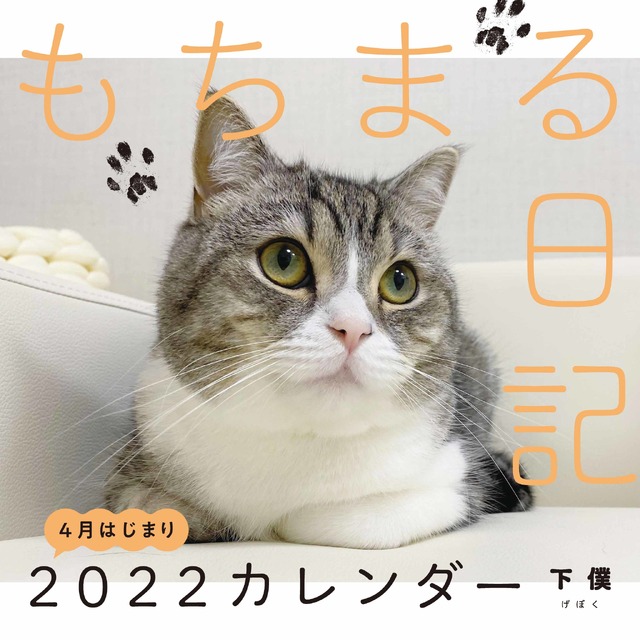 世界一の猫になった人気YouTubeチャンネル「もちまる日記」新作カレンダー発売決定